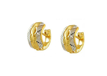 2 Tone Plated | Fashion Earrings